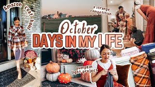 FALLIDAYS in a heat wave! | thrifting, pumpkin DIY + an Amish rope pull | Mennonite Mom Life