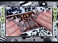 Стемпинг пластиной Born Pretty серии Texture / Звериный принт / Stamping Nail art.