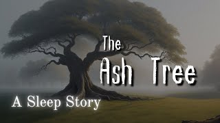 😱 The Ash Tree - A Grim Tale | Sleep Story for Grown Ups