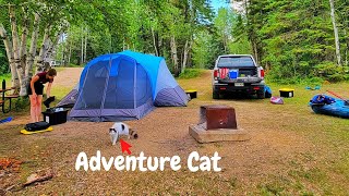 Camping with A Cat (4 Days & 3 Nights in a Tent)