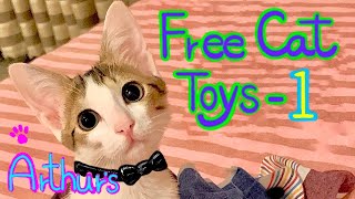Tiny Rescue Kitten turned into the Great Cat Arthur's absolutely free DIY Cat Toys1