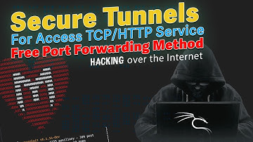 Access localhost HTTP/TCP Services from Internet using Packetriot [Hindi]
