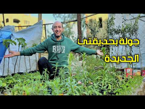 جولة في حديقتي الجديدة في المخيم