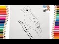 Learn how to draw xenops birds step by step