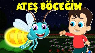 Ateş Böceğim | Balon TV | Çizgi Film Bebek Şarkıları