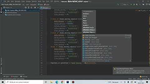 Penjualan Barang (If) menggunakan aplikasi IntelliJ IDEA