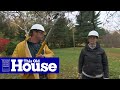 How to Prune a Crabapple Tree | This Old House