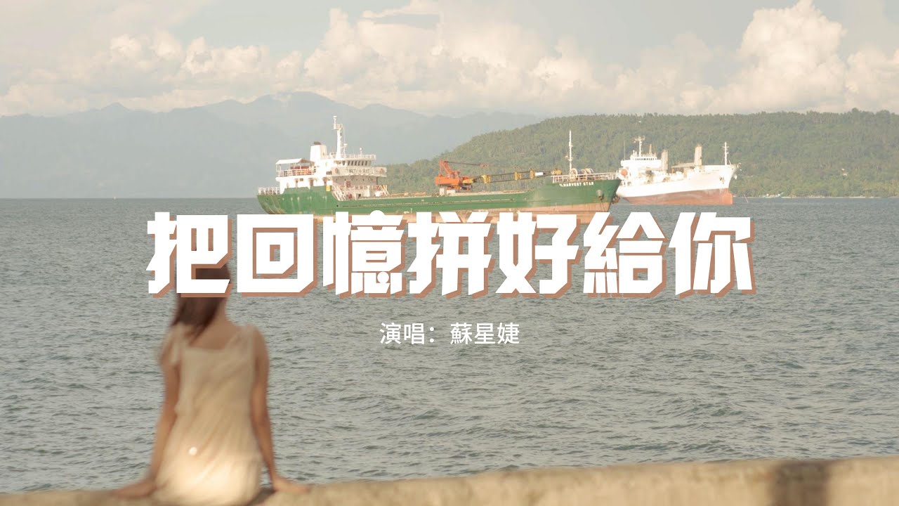 王贰浪 — 把回忆拼好给你（降调版0.8）【独自收集两个人之间的回忆即使每当到这时候我都会哭泣】动态歌词 PINYIN LYRICS