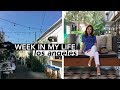 A Week in my Life: Gentle Monster in LA, Santa Monica, & More!