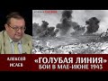 Алексей Исаев. Бои на «Голубой линии» в мае - июне 1943 года