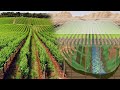 Another Advanced Farming System In China Shocked The World