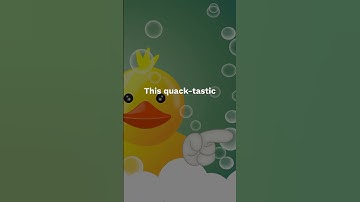 The Duck Quack Echo Myth #shorts #ducks