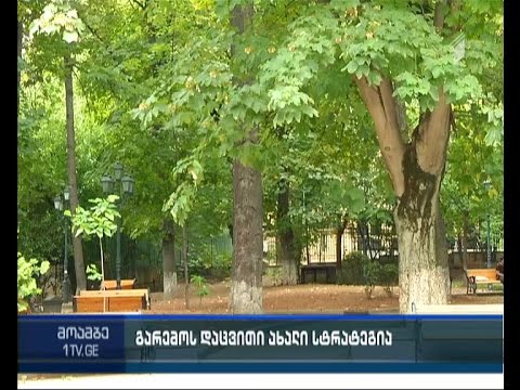 გარემოს დაცვის ახალი სტრატეგია - მწვანე საფარის დასაცავად თბილისში მონიტორინგი იწყება