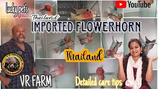 Thailand import exotic FLOWER HORNS | Farm visit in Chennai | exotic gold | care tips | VR FARM by Our Story's Different 9,886 views 10 months ago 10 minutes, 10 seconds
