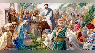 CATHOLIC MEDITATION: SUNDAY - 24 MARCH, 2024. (🔴🌿PALM SUNDAY OF THE PASSION OF THE LORD - YEAR B🌿🔴).