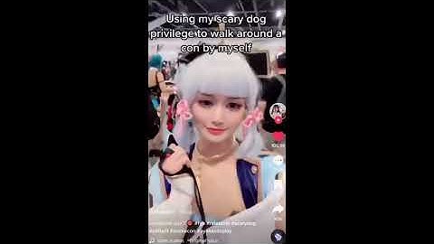 Shitpost Status Compilation v5