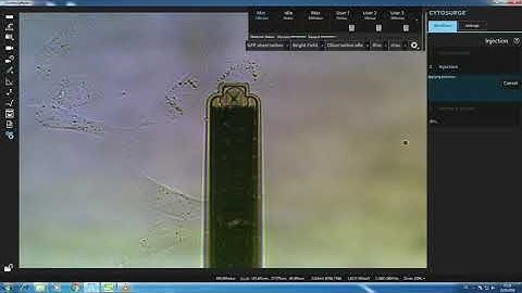FluidFM Platform Series – Single cell nano-extraction of HeLa cytoplasm