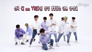 (Sub indo) Stray kids X dingo