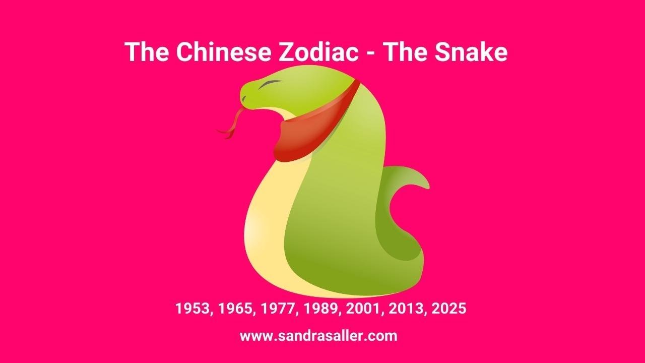 The Yin Fire Snake Chinese Astrology Explained YouTube