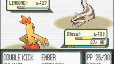 Pokemon Ruby Walkthrough Part 28: Petalburg Gym