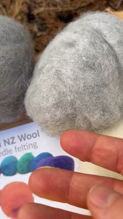 Cute Wool Needle Felting Kit For Beginner Starers Black Wood - Temu