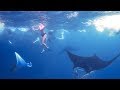 Mantas and Mermaids - Snorkelling Nusa Penida