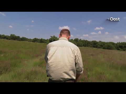 Video: Wonder Van De Natuur: Er Werden Gigantische Ijsballen Ontdekt Op Yamal - - Alternatieve Mening