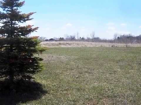 302 2nd St, Carlos, MN home video tour