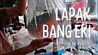DATENG LEBIH AWAL BIAR KEBAGIAN IKAN HIAS YANG SPESIAL DI PASAR IKAN HIAS JATINEGARA 