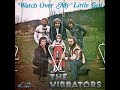 The Vibrators - Check It Out