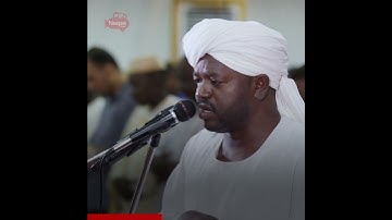 من سورة الأحزاب | الشيخ نورين محمد صديق