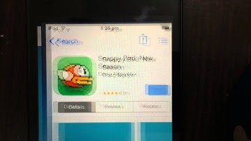 Flappy Bird | Back On The App Store