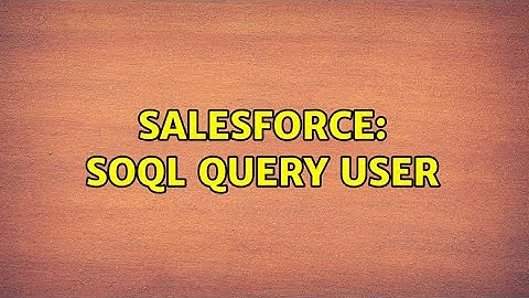 Salesforce: SOQL Query user (2 Solutions!!)