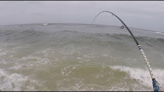 Can You Catch Keeper Flounders Off the Beach
