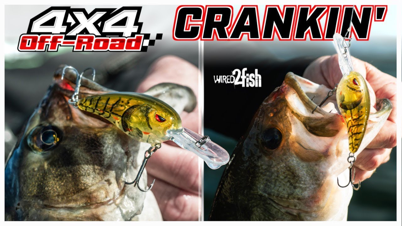 Power Cranking SPRO Rock Crawlers for Cold Water Bass 