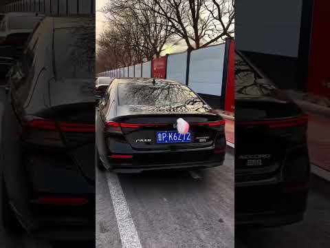 Електричний хвіст, що віляє, на авто, видео 1