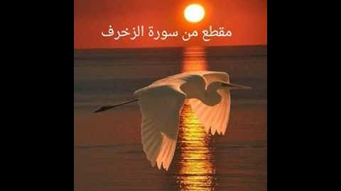 ابوبكر الطيب مقطع من سورة الزخرف