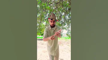 الفقر يولد رجال يولد امراض مزمينة كوميديات Comedy Funny Art Freefire Video 