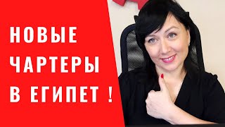 PEGAS Touristik запускает чартеры в Египет Цены на туры в Шарм Эль Шейх