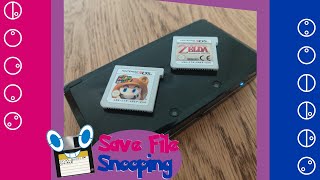 Save File Snooping: Something Completely Different!