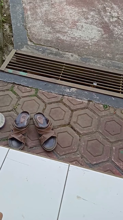 mentahan #youtuberpemula #youtubeshorts #story #mentahan