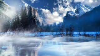 Into a Mystical Forest | Enchanted Celtic Music @432 Hz | Nature Sounds | Magical Forest Music