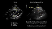 Is JAMA Internal Medicine reputable?
