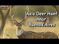 Argentina Big Hunting axis deer hunt.wmv