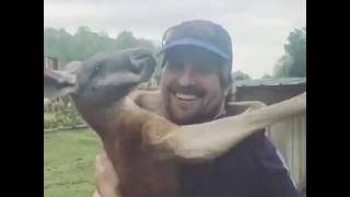 Sevgiyle Bütün Sorunlarınız Çözülür.