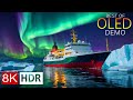 INCREDIBLE VIEWS 8K HDR Mind Blowing OLED Demo 