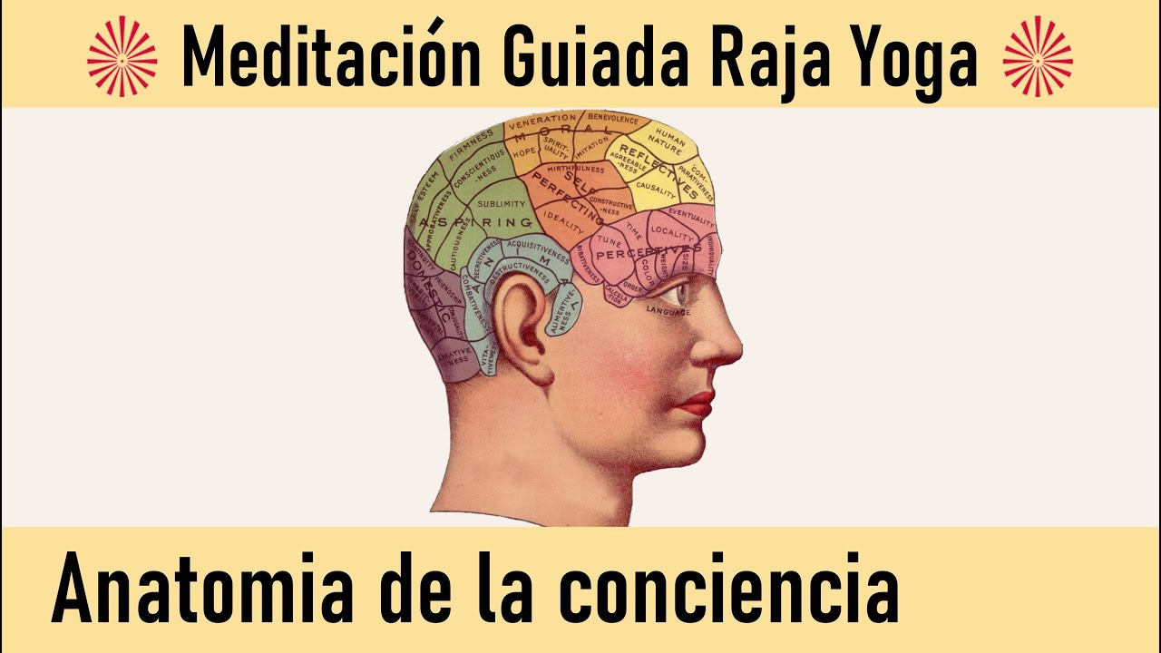 Meditación Raja Yoga: Anatomía de la conciencia, con Ramón Ribalta ...