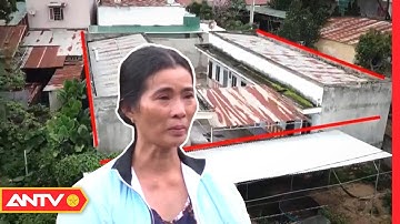 Lại chuyện bác đơn kháng cáo, đẩy 6 mẹ con vào cảnh trớ trêu | Điều tra | ANTV