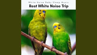 Lands of Noise Ambience for Perfect REM