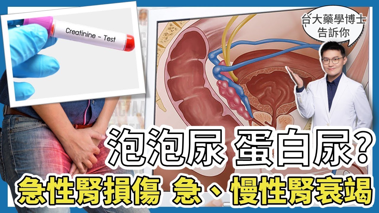 泡泡尿就是蛋白尿嗎? 早上小便有泡泡 是腎臟出問題嗎? 肌酸酸(Creatinine)驗什麼? 腎臟排除能力下降，急性腎損傷 AKI、急性腎衰竭 AKD、慢性腎衰竭 CKD，要怎麼區分?
